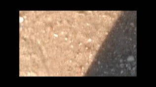 Fun on The Nude Beach with Sexy Sapphire