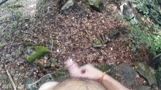 Robin Hand in Sherwood