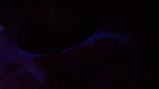Rave Sex