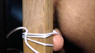 Hairy ass and a dildo