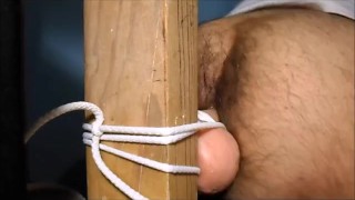 Hairy ass and a dildo