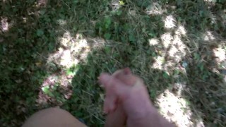 outdoor fun on a suny sunday afternoon