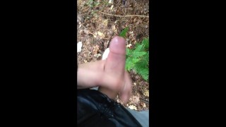 Playing with my Dick in Public