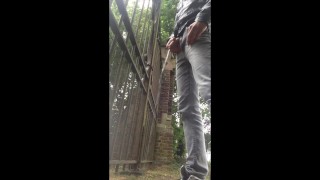 Pissing in Public