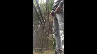 Pissing in Public
