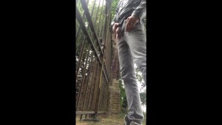 Pissing in Public