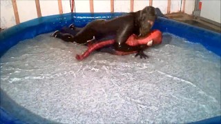 The Orca frogman has spiderman trapped in his jerkoff pool
