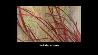 Swallow My Seed - Scene 10