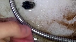 Albania Skyorin (2)