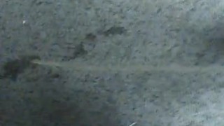 Pissing on the Carpet soft