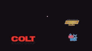 CAUSA 515 CUMpilation AZ