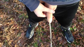 Taking a piss in public