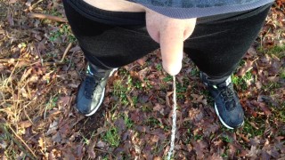 Taking a piss in public