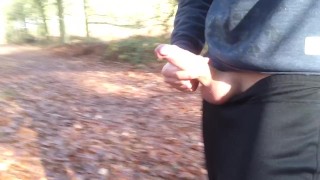 Public boner, public pissing, public flashing - Exhibitionist gay boy