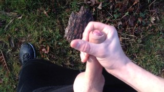 Jerking my dick and cumming in public - hd