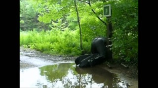 frogman puddle hump