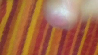 Wunsch Video