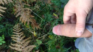 Boy Pissing in Public