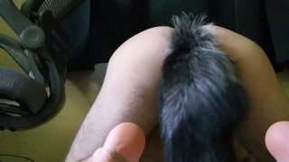 Foxy tail play