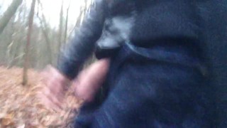 Walking with my penis out of my pants