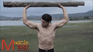 muscle body model
