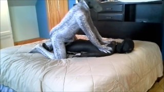 spandex snake gasses orca