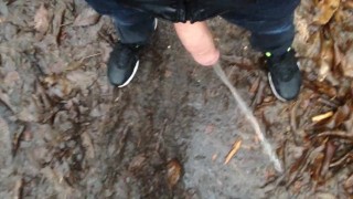 I like to show my dick in public
