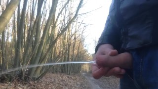 Pissing in public and flashing my dick to a runner past by