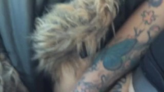 Fucking herself in passenger seat