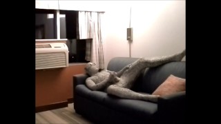 snake jerks off in hotel room