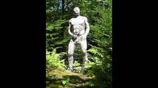 Android outdoors in the forets