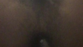 Perfect Puss
