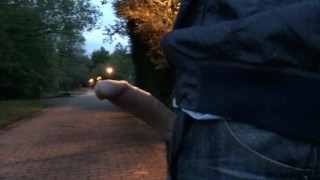 my public erection