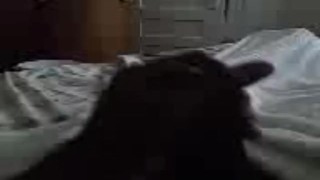 Horny