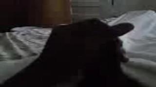 Horny Jamaican