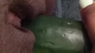 Shoving a Cucumber in my fat pussy