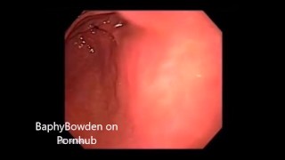 Giantess Swallows You Whole VORE POV