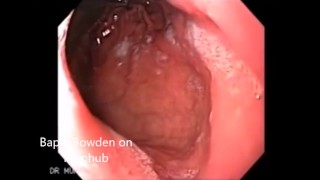 Giantess Swallows You Whole VORE POV