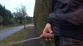 sometimes it is risky to pull out your dick and piss