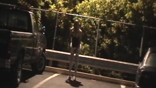 Trolling Tranny