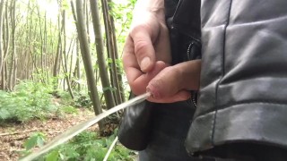 flaccid penis - piss