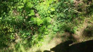 Jerk off in the Woods