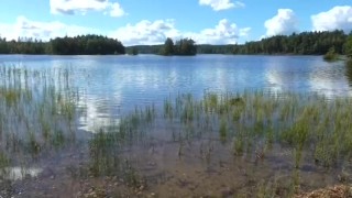 SQUIRTING MILF OUTDOOR GIRL MASTURBATE AMATEUR ORGASM