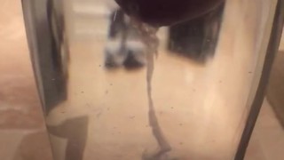 spunkdude72 cumming slowly in a glass of water