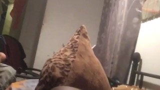 Quick Humping Vid