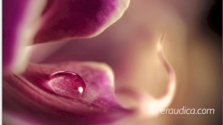 Do You Remember? (What We Were to Each Other) - sensual erotic audio by Eve's Garden