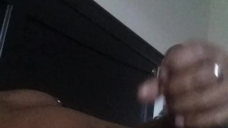 Catch My Nutt