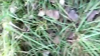 outdoor piss