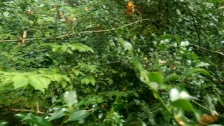 Forest / Wood Blow Job and Facial