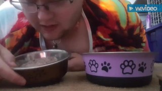 Eating cat food and dog food